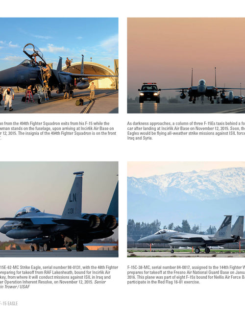 Load image into Gallery viewer, F-15 Eagle by Schiffer Publishing
