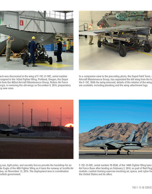 Load image into Gallery viewer, F-15 Eagle by Schiffer Publishing
