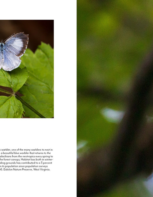 Load image into Gallery viewer, The Central Appalachians by Schiffer Publishing
