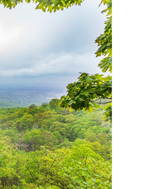 Load image into Gallery viewer, The Central Appalachians by Schiffer Publishing
