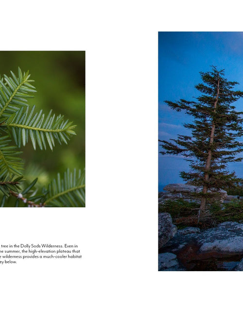 Load image into Gallery viewer, The Central Appalachians by Schiffer Publishing
