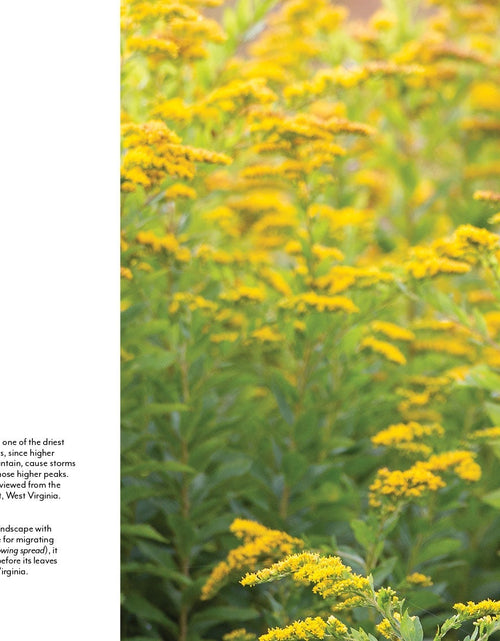 Load image into Gallery viewer, The Central Appalachians by Schiffer Publishing
