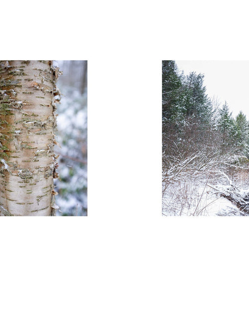 Load image into Gallery viewer, The Central Appalachians by Schiffer Publishing
