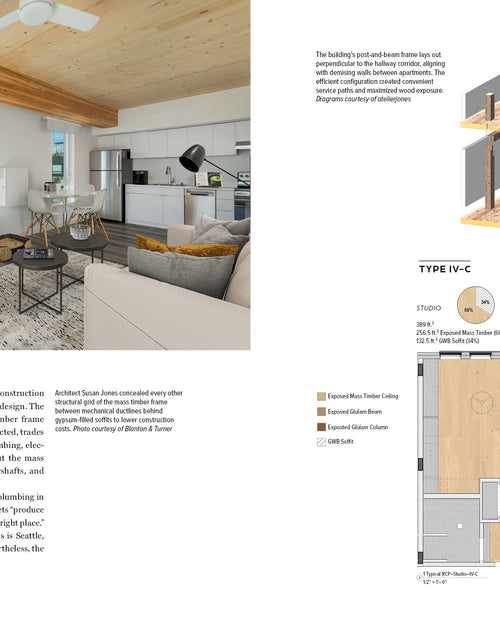 Load image into Gallery viewer, Innovations in Mass Timber by Schiffer Publishing
