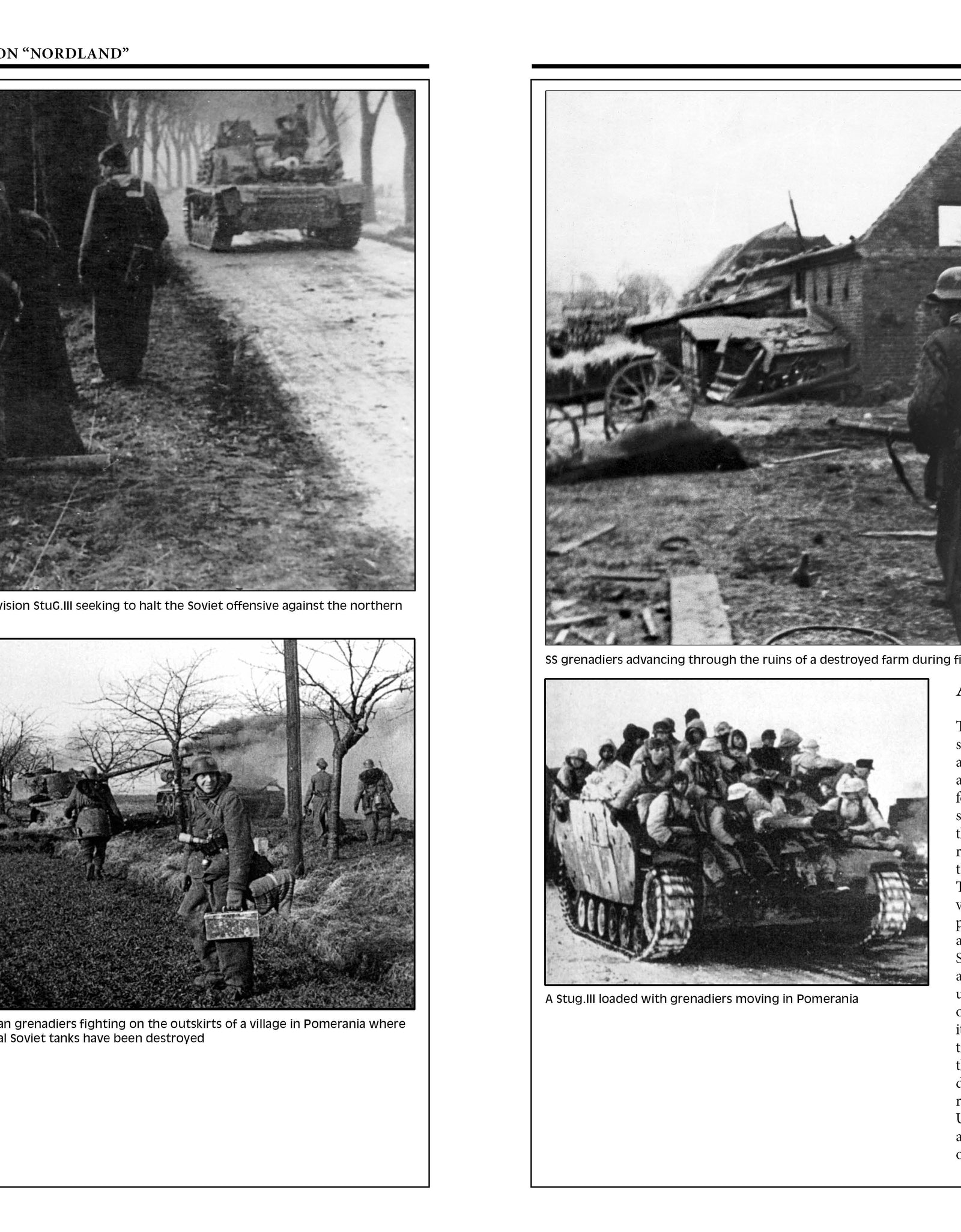 11th Waffen-SS Freiwilligen Panzergrenadier Division “Nordland” by Schiffer Publishing