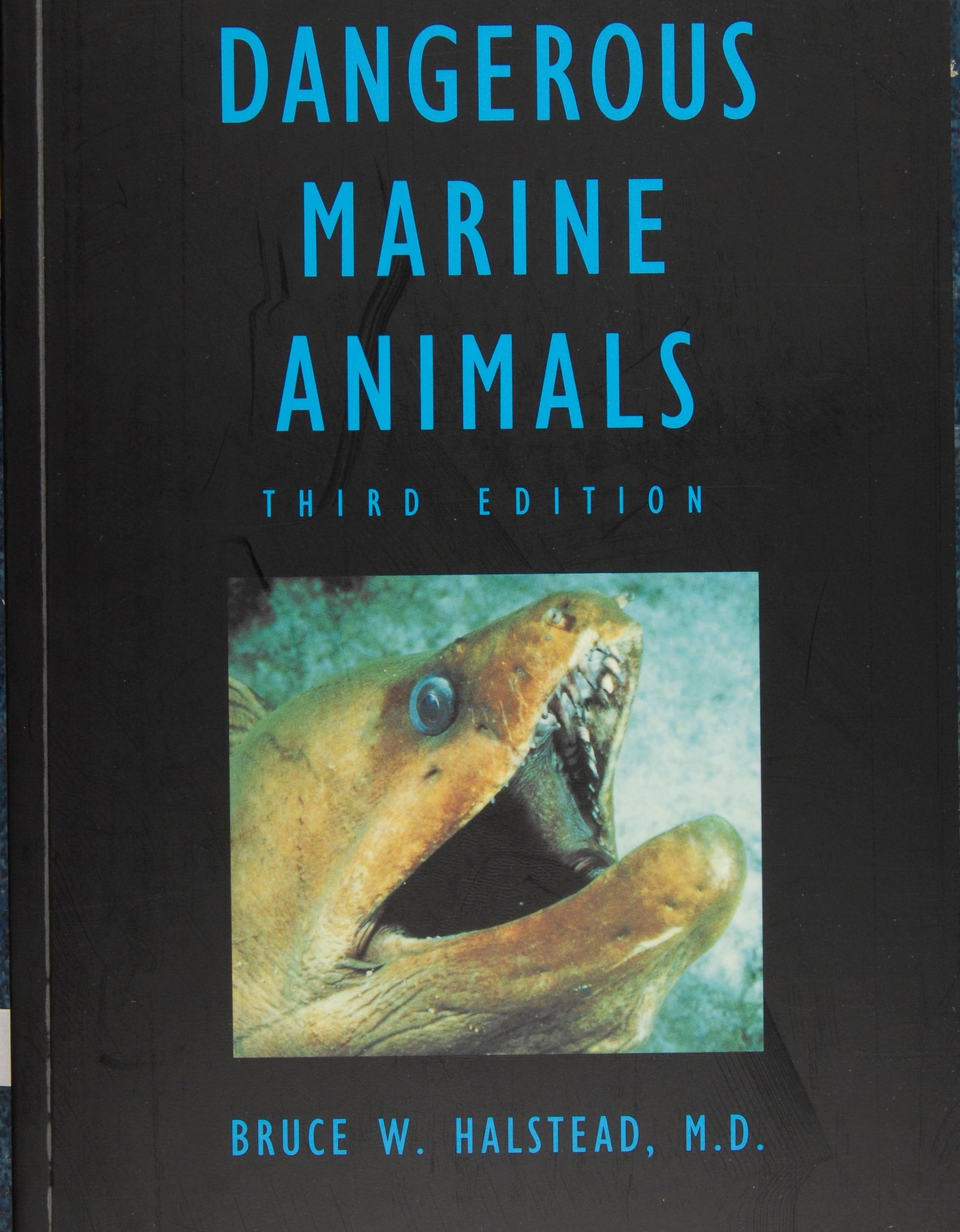 Dangerous Marine Animals That Bite, Sting, Shock, or Are Non-edible by Schiffer Publishing
