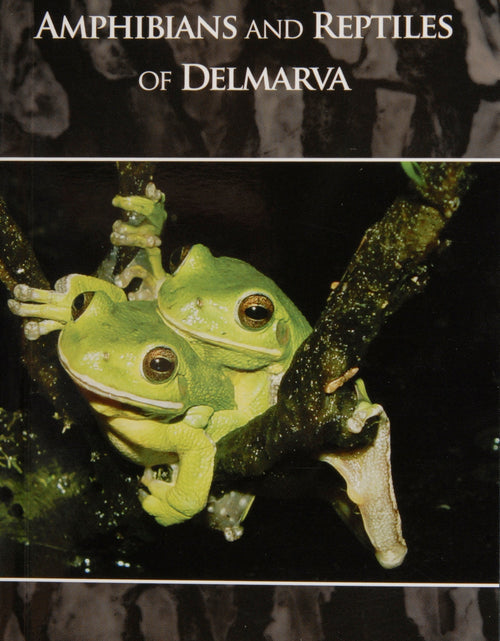 Load image into Gallery viewer, Amphibians and Reptiles of Delmarva by Schiffer Publishing
