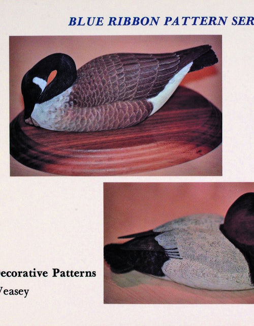 Load image into Gallery viewer, Blue Ribbon Pattern Series by Schiffer Publishing
