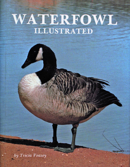 Load image into Gallery viewer, Waterfowl Illustrated by Schiffer Publishing
