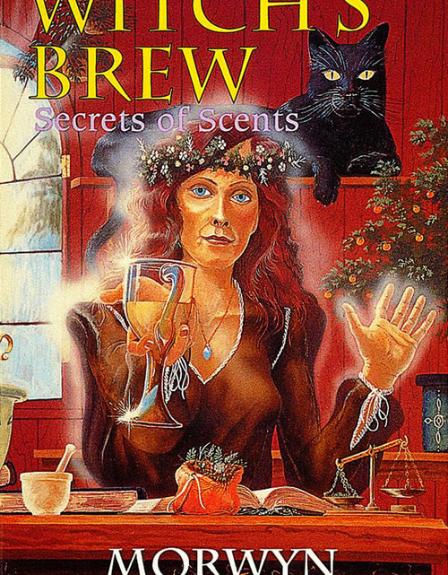 Load image into Gallery viewer, Witch's Brew by Schiffer Publishing
