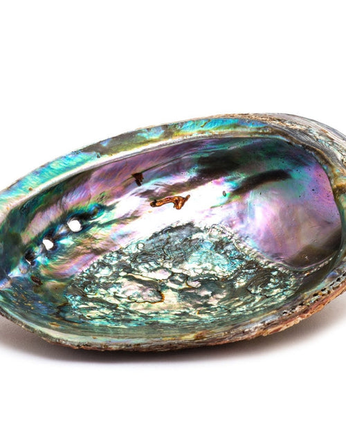 Load image into Gallery viewer, Abalone shell ash tray/ wooden Stand /  Sage by OMSutra
