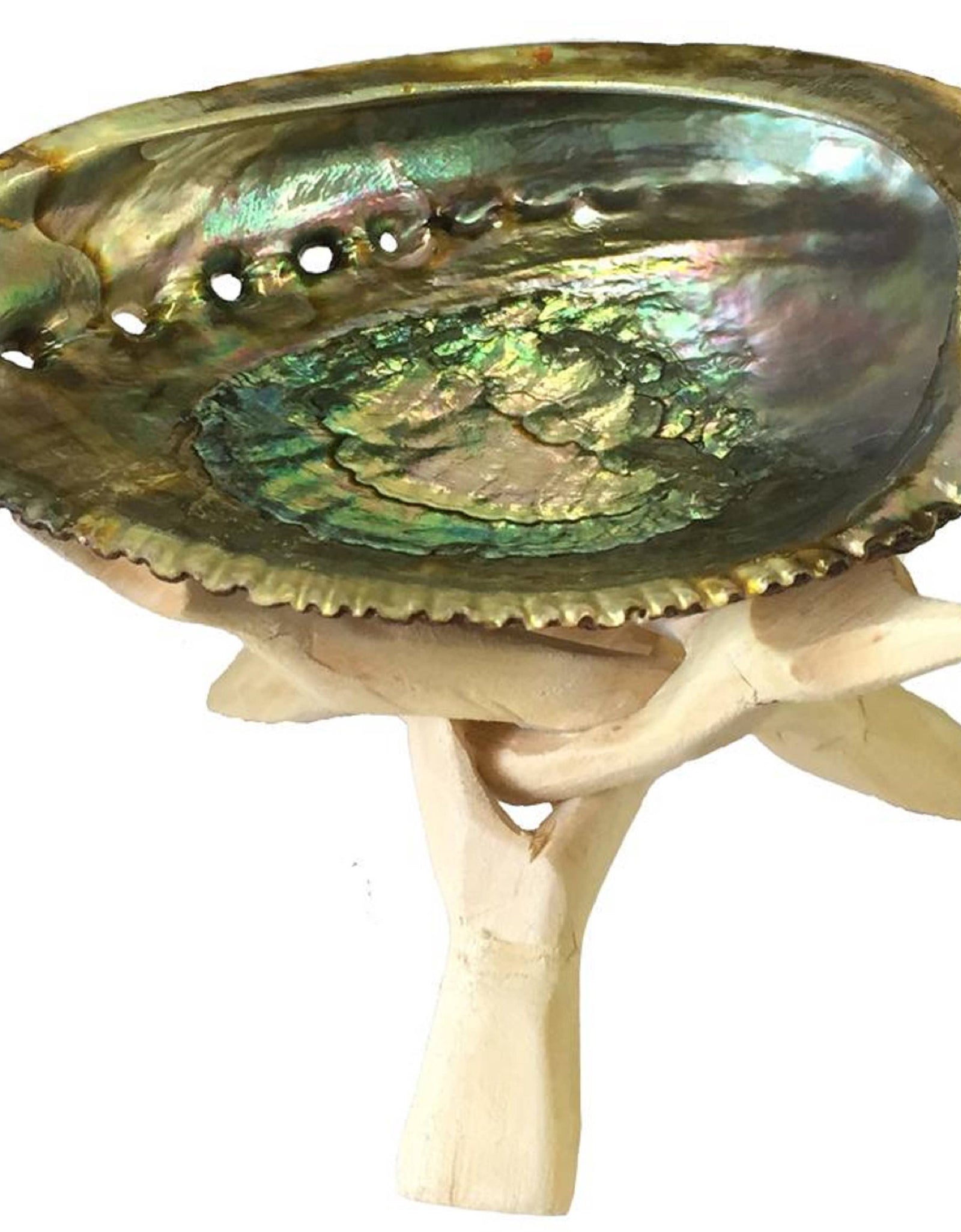 Abalone shell ash tray/ wooden Stand /  Sage by OMSutra