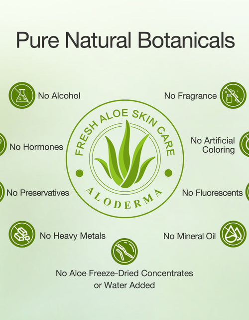 Load image into Gallery viewer, Pure Aloe Vera Gel 45G by ALODERMA
