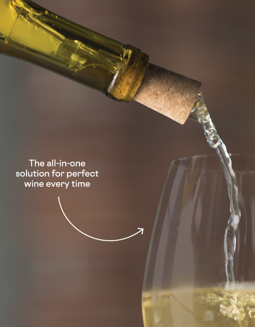 Load image into Gallery viewer, Corkcicle Air by CORKCICLE.
