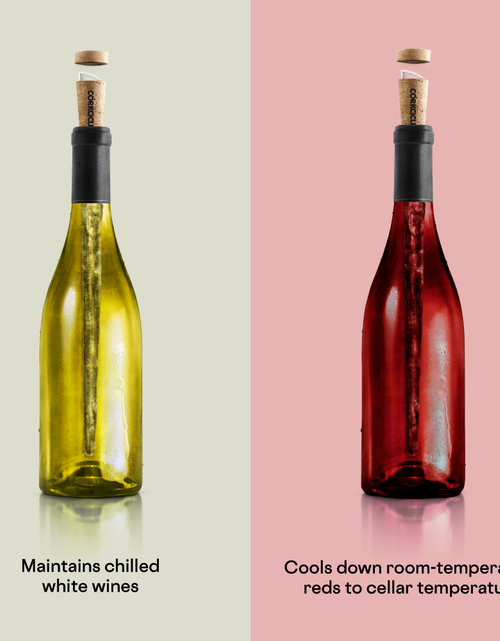 Load image into Gallery viewer, Corkcicle Air by CORKCICLE.
