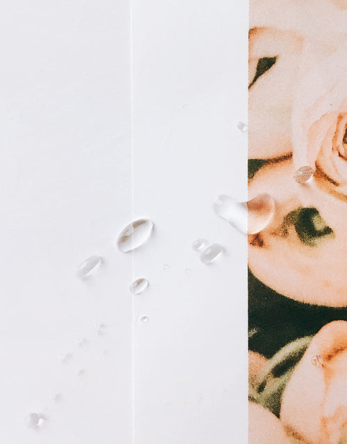 Load image into Gallery viewer, Allantoin Serum Water by TAHNYC
