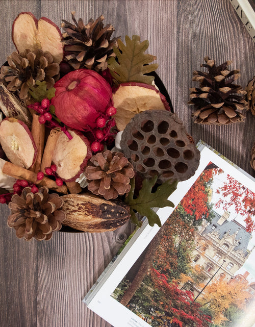 Load image into Gallery viewer, Apple Cider Cinnamon Potpourri by Andaluca Home
