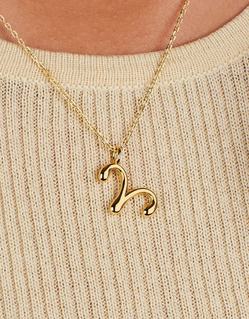 Load image into Gallery viewer, Aries Zodiac Necklace by Little Sky Stone
