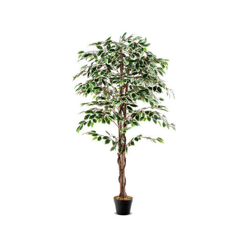 Load image into Gallery viewer, Artificial Ficus Tree Tall Faux Indoor Plant with 1008 Leaves Nursery Pot and Dried Moss
