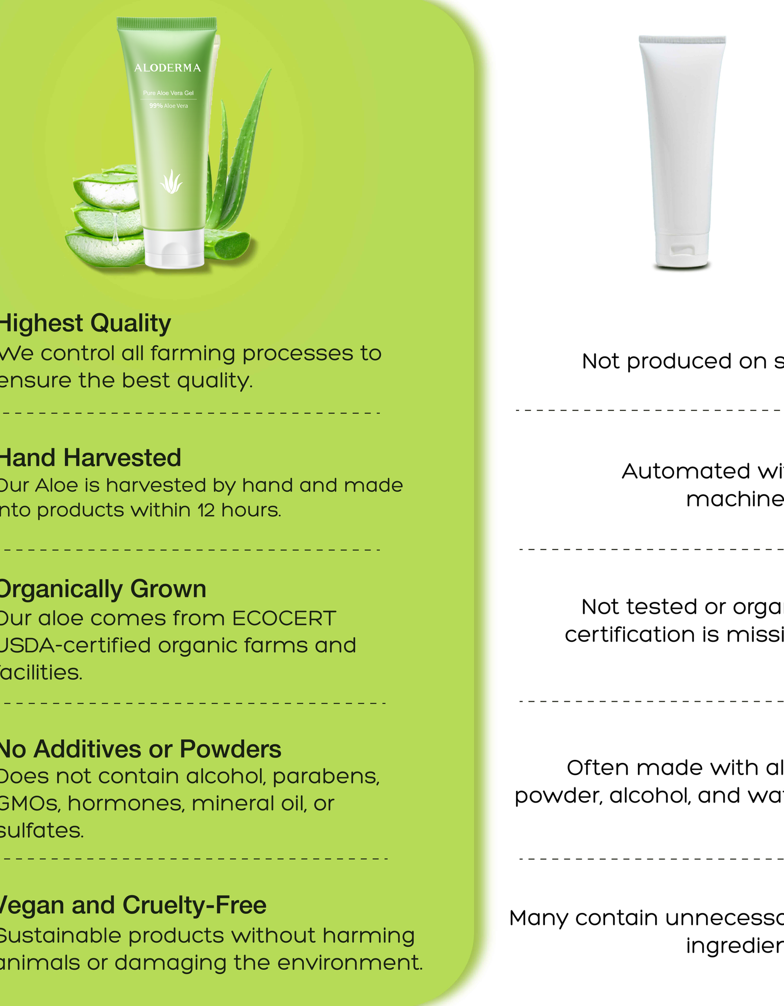 ALODERMA Pure Aloe Vera Gel - 114g by AloeCure