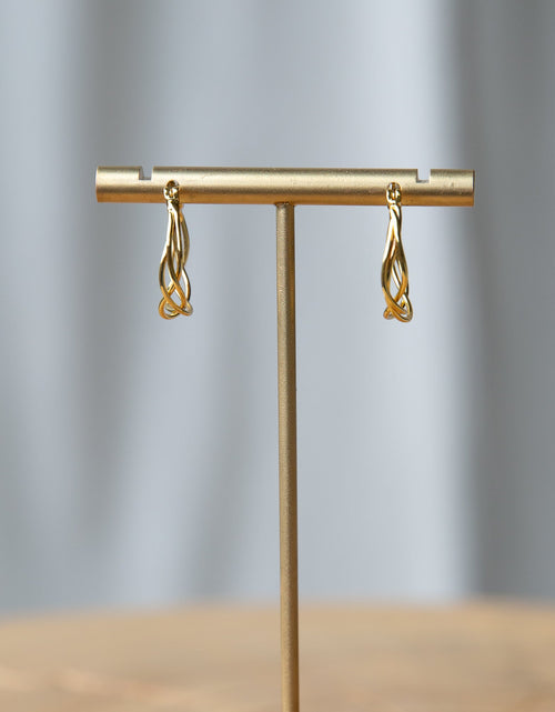 Load image into Gallery viewer, Braided Hoop Earrings
