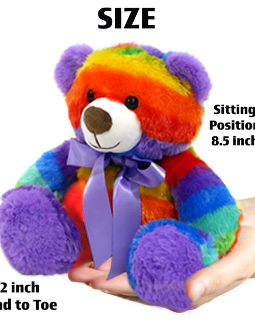 Load image into Gallery viewer, Rainbow Teddy Bear Plush Stuffed Animal Cuddly Soft 12 inch by The Noodley
