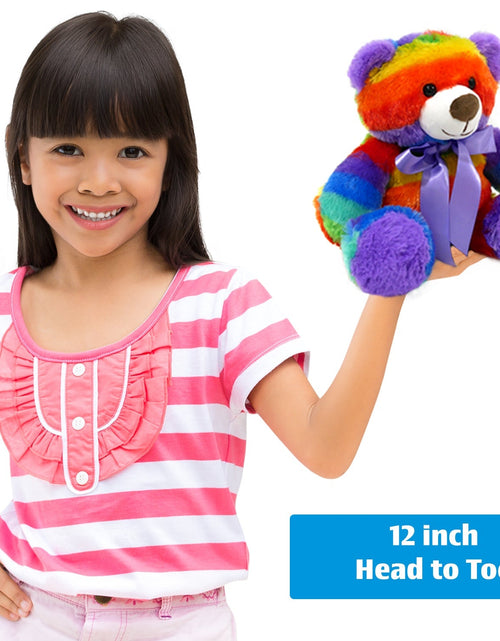 Load image into Gallery viewer, Rainbow Teddy Bear Plush Stuffed Animal Cuddly Soft 12 inch by The Noodley
