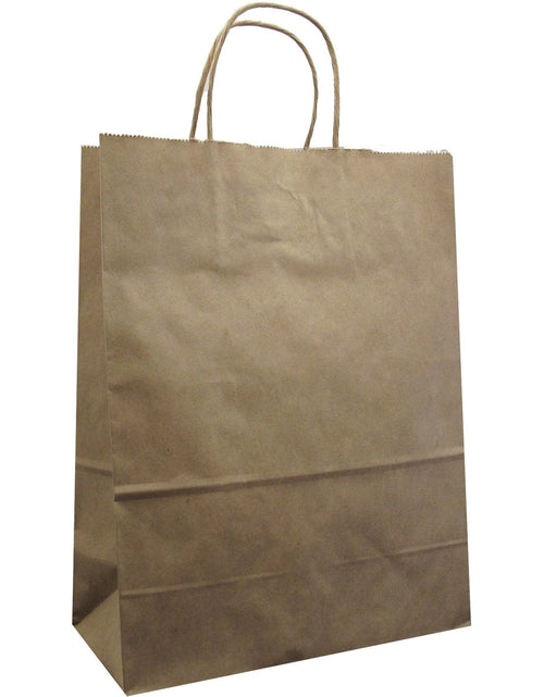 Load image into Gallery viewer, Jillson &amp; Roberts Large Kraft Bags, Natural by Present Paper
