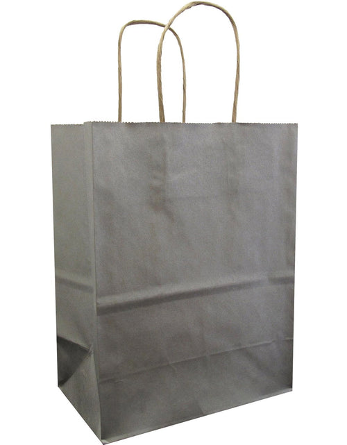 Load image into Gallery viewer, Jillson &amp; Roberts Medium Kraft Bags, Metallic Silver by Present Paper

