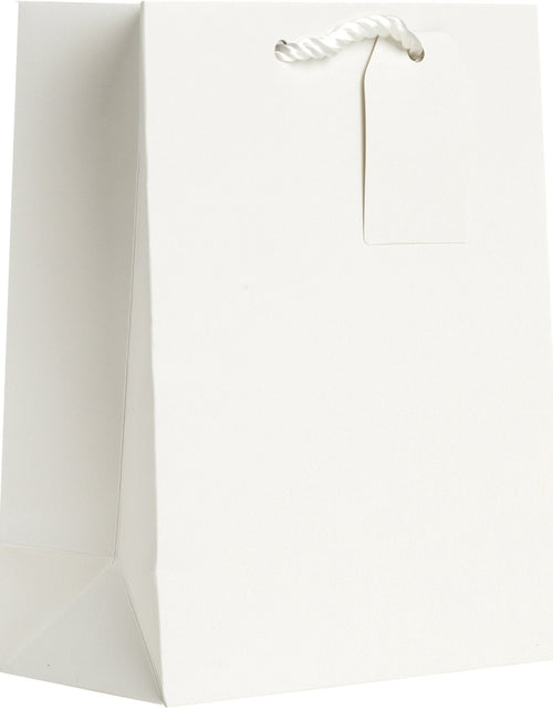 Load image into Gallery viewer, Heavyweight Solid Color Medium Gift Bags, Matte White by Present Paper
