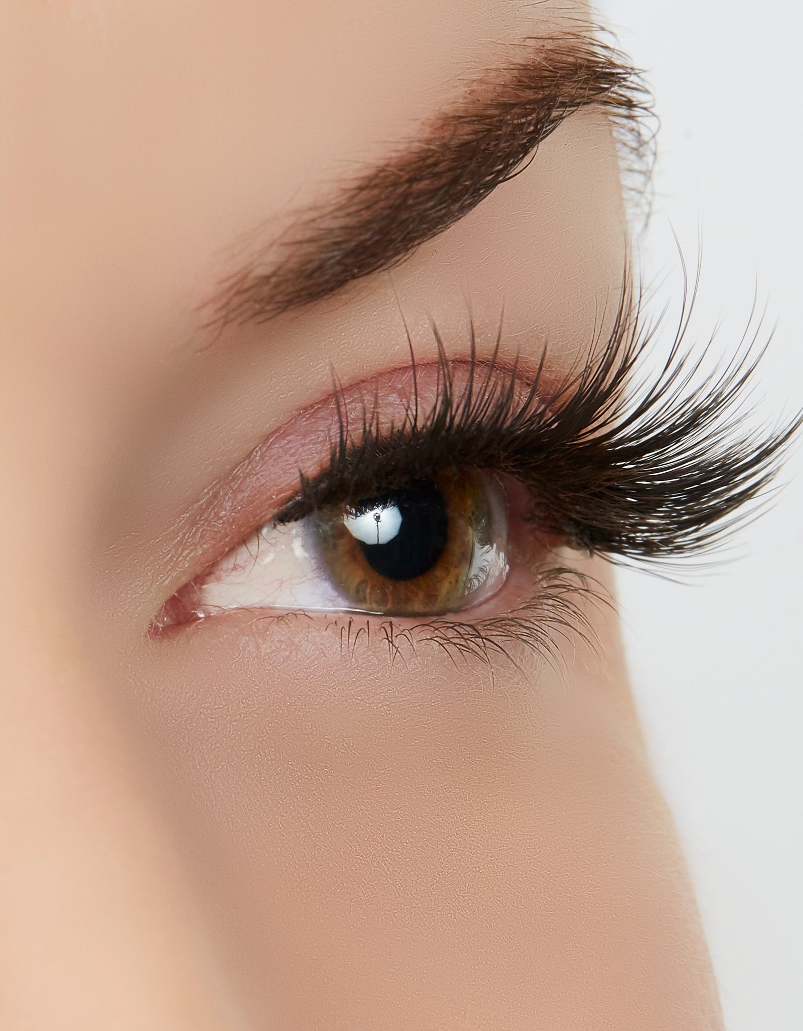 A Touch of Heaven Lash Style by True Beauty Lashes