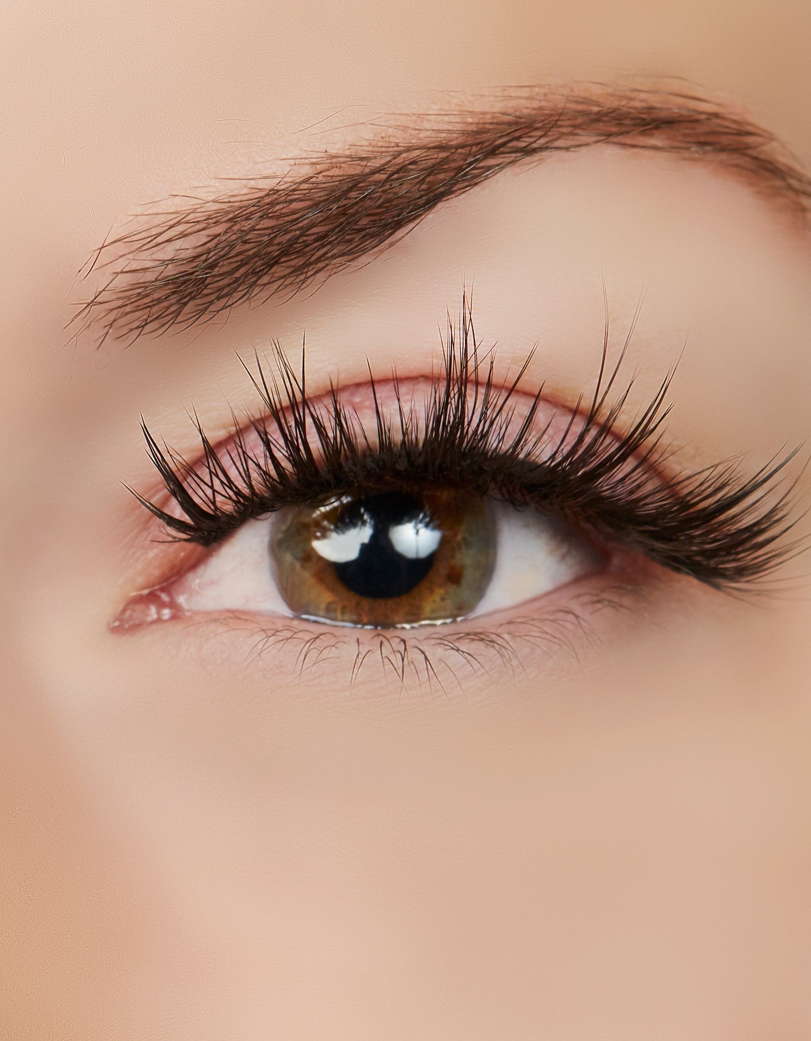 A Touch of Heaven Lash Style by True Beauty Lashes