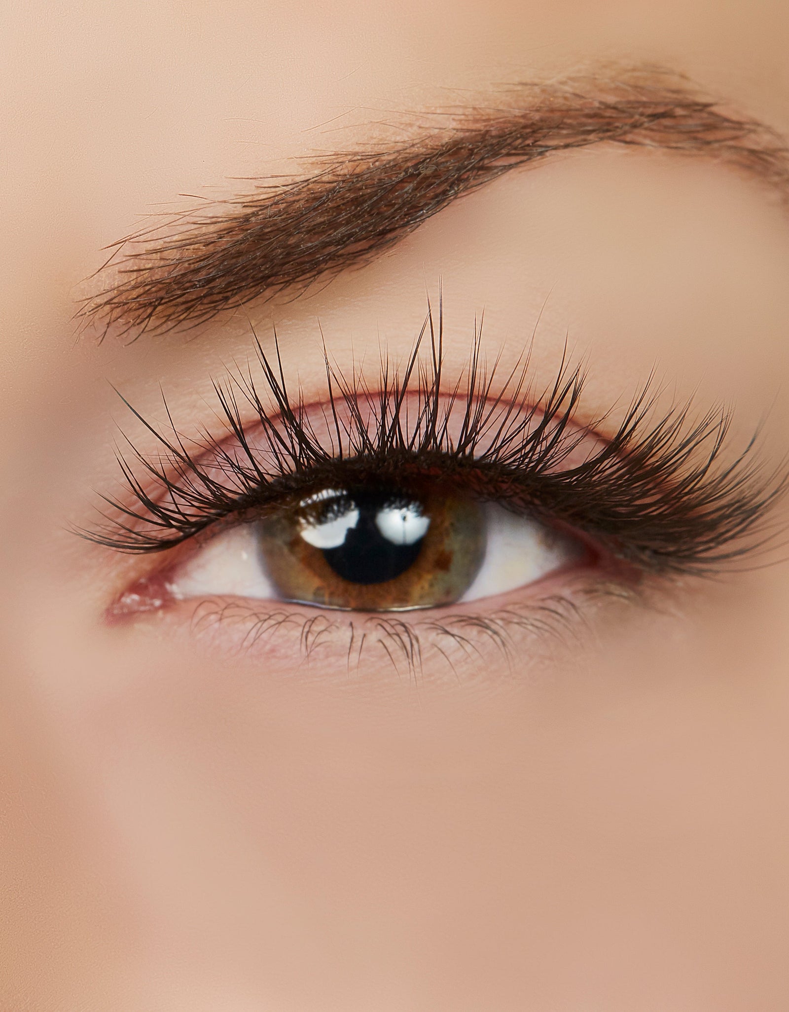 Hustle in Heels Lash Style by True Beauty Lashes