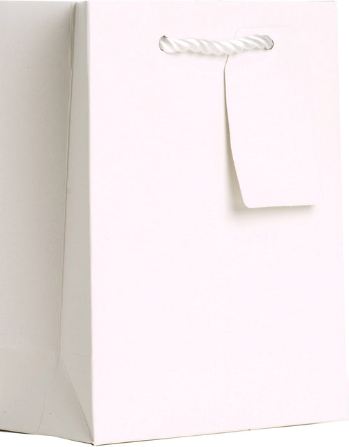 Load image into Gallery viewer, Heavyweight Solid Color Small Gift Bags, Matte White by Present Paper
