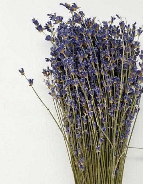 Load image into Gallery viewer, High-Grade French Lavender Flower BUNCH 14" L by OMSutra
