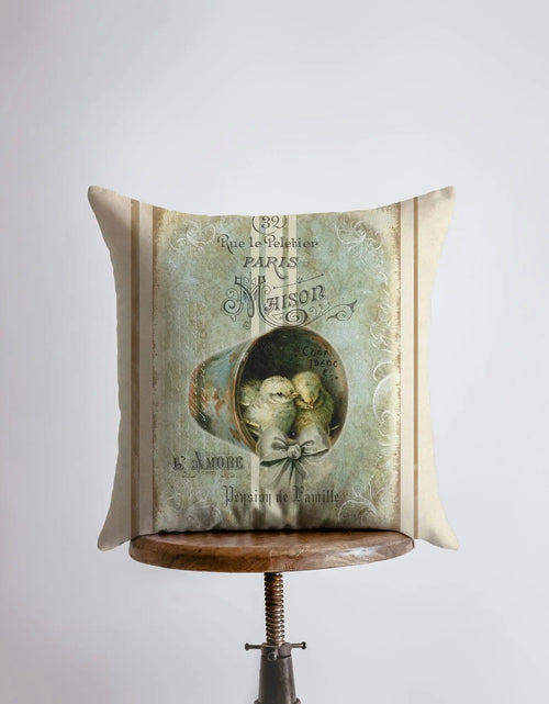 Load image into Gallery viewer, Baby Chicks | Farmhouse Decor | Home Décor | Farm House Decor | Decorative Bird Pillows | Animal Print Decorative Pillow | Pillow | Gift by UniikPillows
