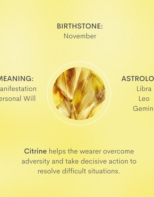 Load image into Gallery viewer, Birthstone Necklace - November by Little Sky Stone
