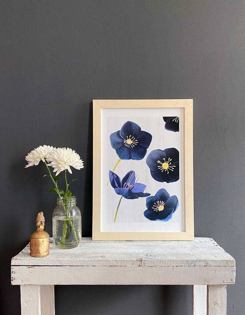 Load image into Gallery viewer, Art Print:  Black Hellebore on Snow by India &amp; Purry
