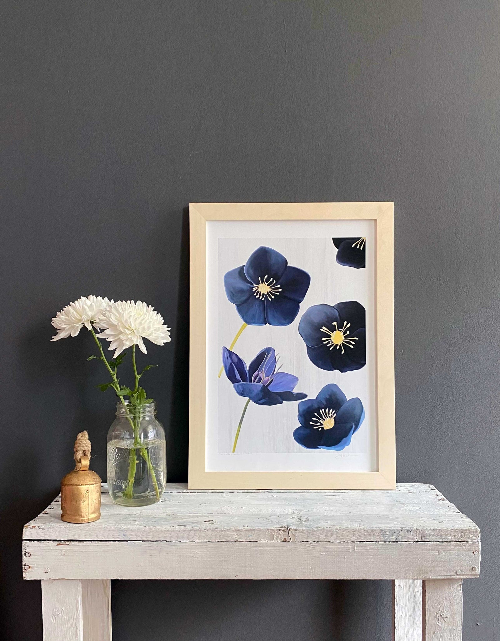 Art Print:  Black Hellebore on Snow by India & Purry