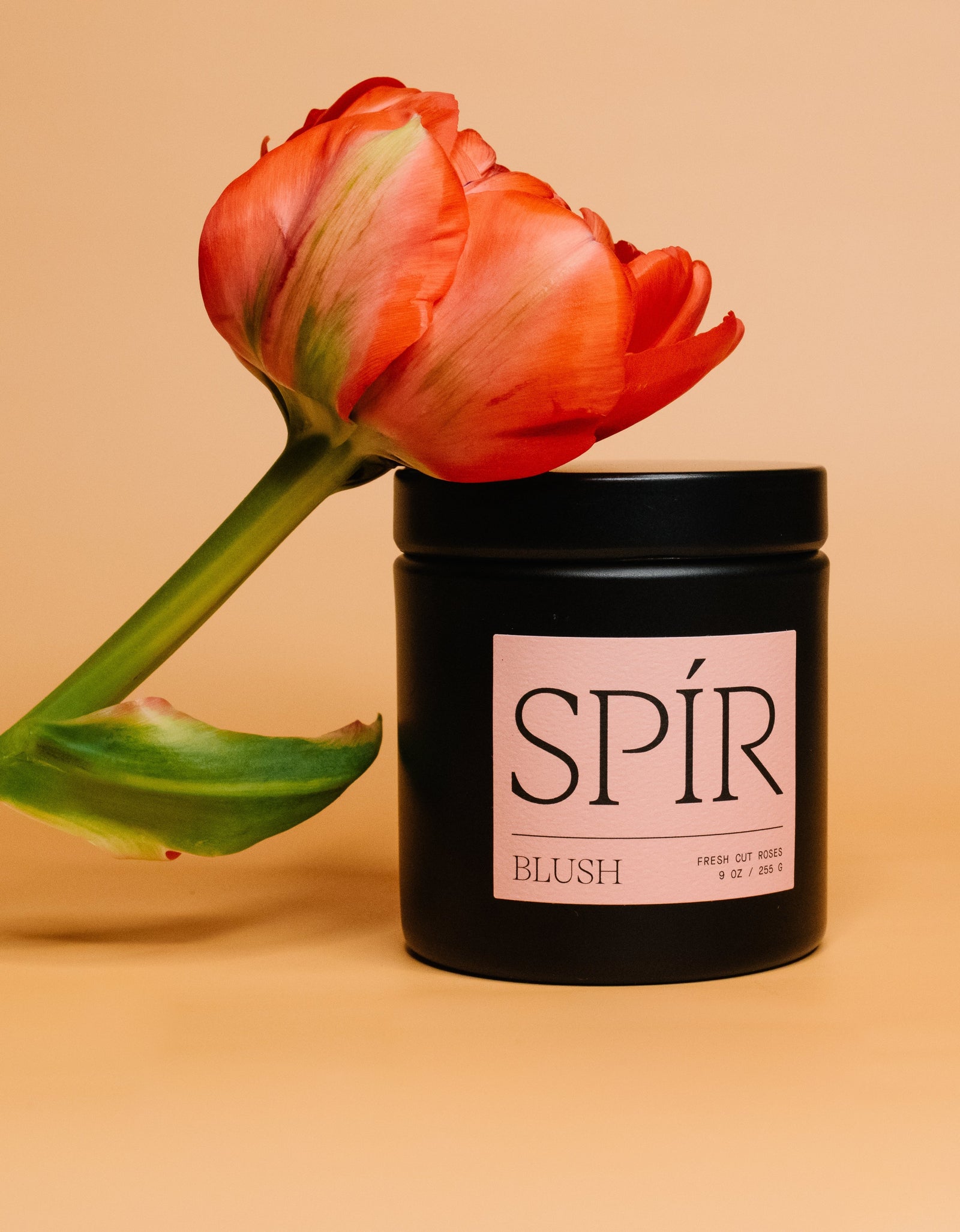 Blush – 9 oz Candle by Spír Candle Co.