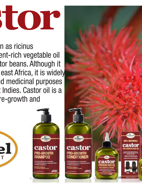 Load image into Gallery viewer, Difeel Castor Pro-Growth 3-PC Large Hair Care Set - Shampoo 33.8oz, Conditioner 33.8oz, &amp; Hair Oil 8oz by difeel - find your natural beauty
