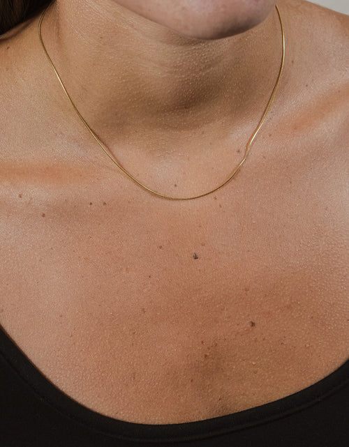 Load image into Gallery viewer, Sterling Silver Snake Chain by Sterling Forever
