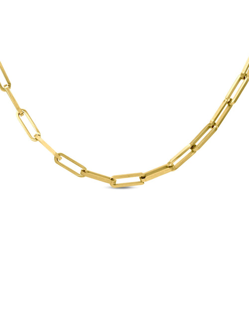 Load image into Gallery viewer, C860G B.Tiff "Jemma" Paperclip Flat Long Adjustable Link Gold Plated Necklace by B.Tiff New York
