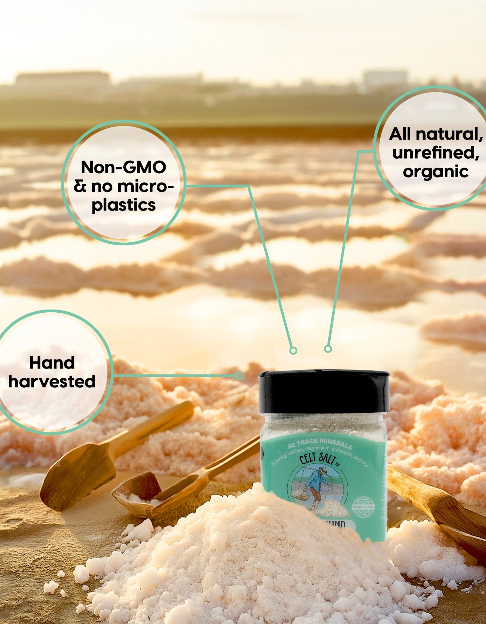 Celtic Sea Salt- 8 oz Shaker of Coarse Light Grey, organic, 82 minerals, Celt Salt By Nature's Pantry by Celt Salt