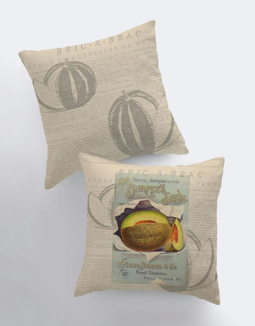 Load image into Gallery viewer, Cantaloupe | Pillow Cover | Vegan | Vegan Gift | Farmhouse Decor | Home Decor | Throw Pillow | Pillow | Accent Pillow Covers | Country Decor by UniikPillows
