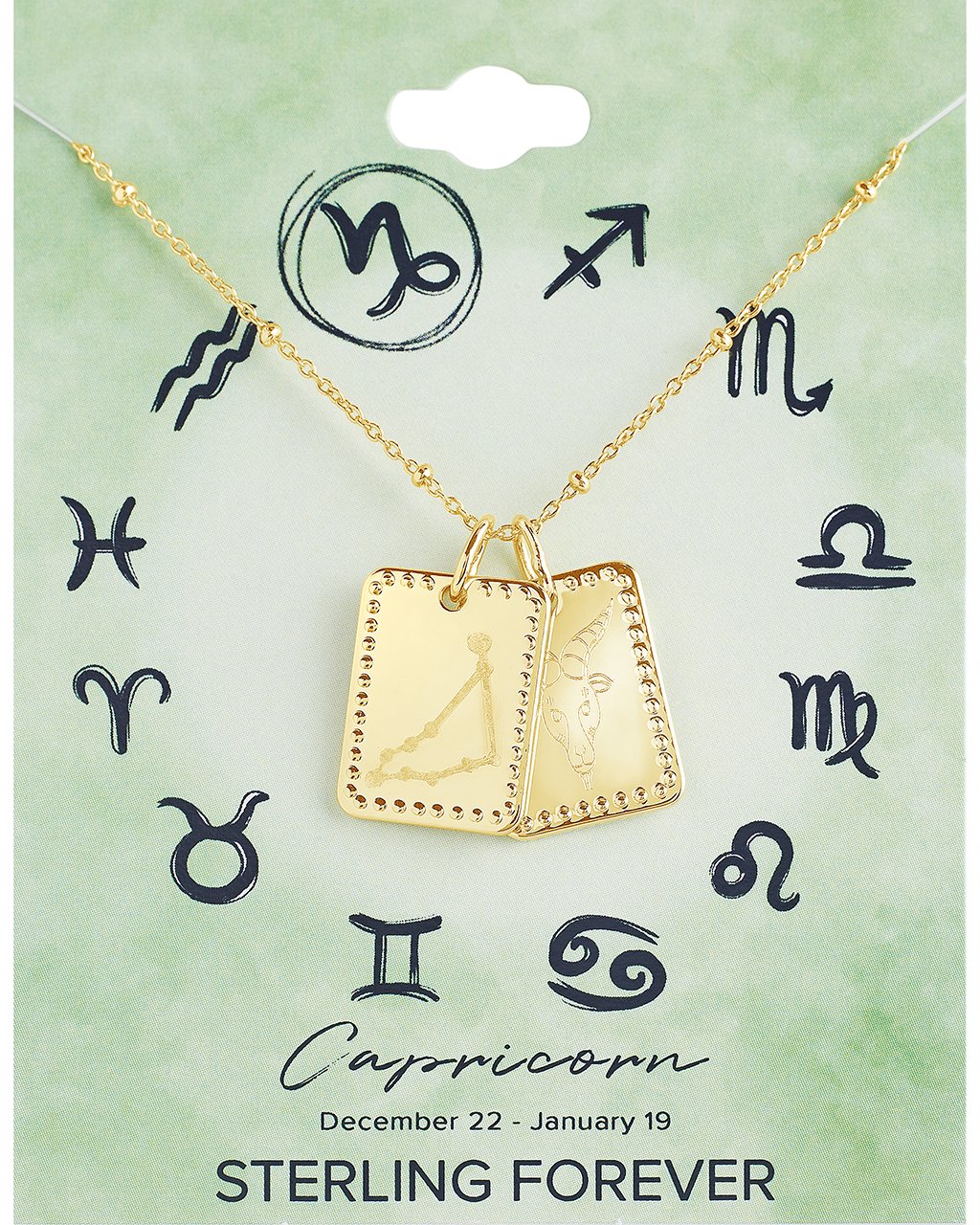 Zodiac Tag Necklace by Sterling Forever