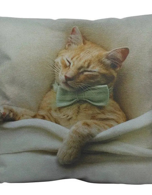 Load image into Gallery viewer, Cat |  Cat Paw | Cat Pillow | Cute Cat | Cat Gifts | Cat Decor | Cat Photo | Gifts for Cat Lovers | Accent pillow | Throw Pillow Covers by UniikPillows
