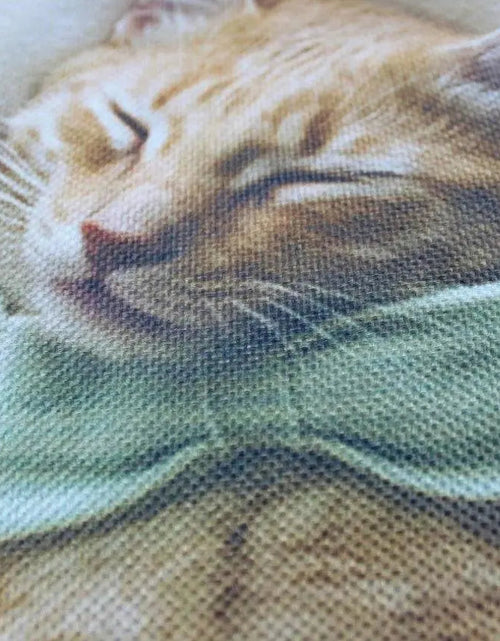 Load image into Gallery viewer, Cat |  Cat Paw | Cat Pillow | Cute Cat | Cat Gifts | Cat Decor | Cat Photo | Gifts for Cat Lovers | Accent pillow | Throw Pillow Covers by UniikPillows
