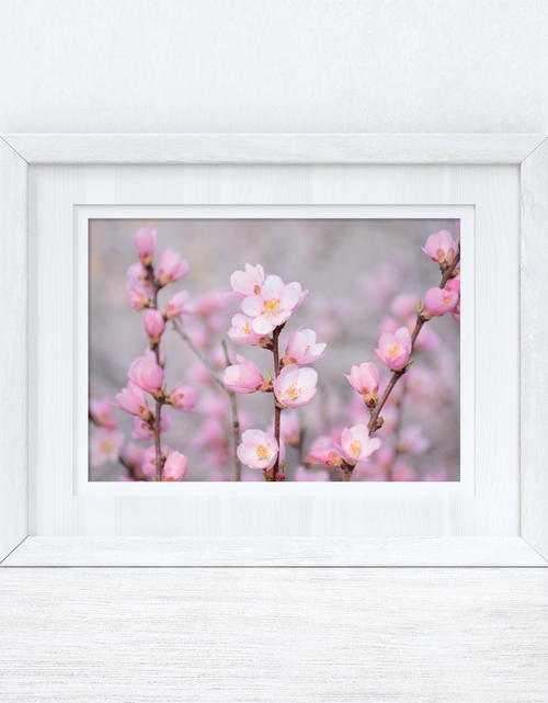 Load image into Gallery viewer, Cherry Spring Blossom Photography Spring Seasonal Wall Home Decor Print by WinsterCreations™ Official Store
