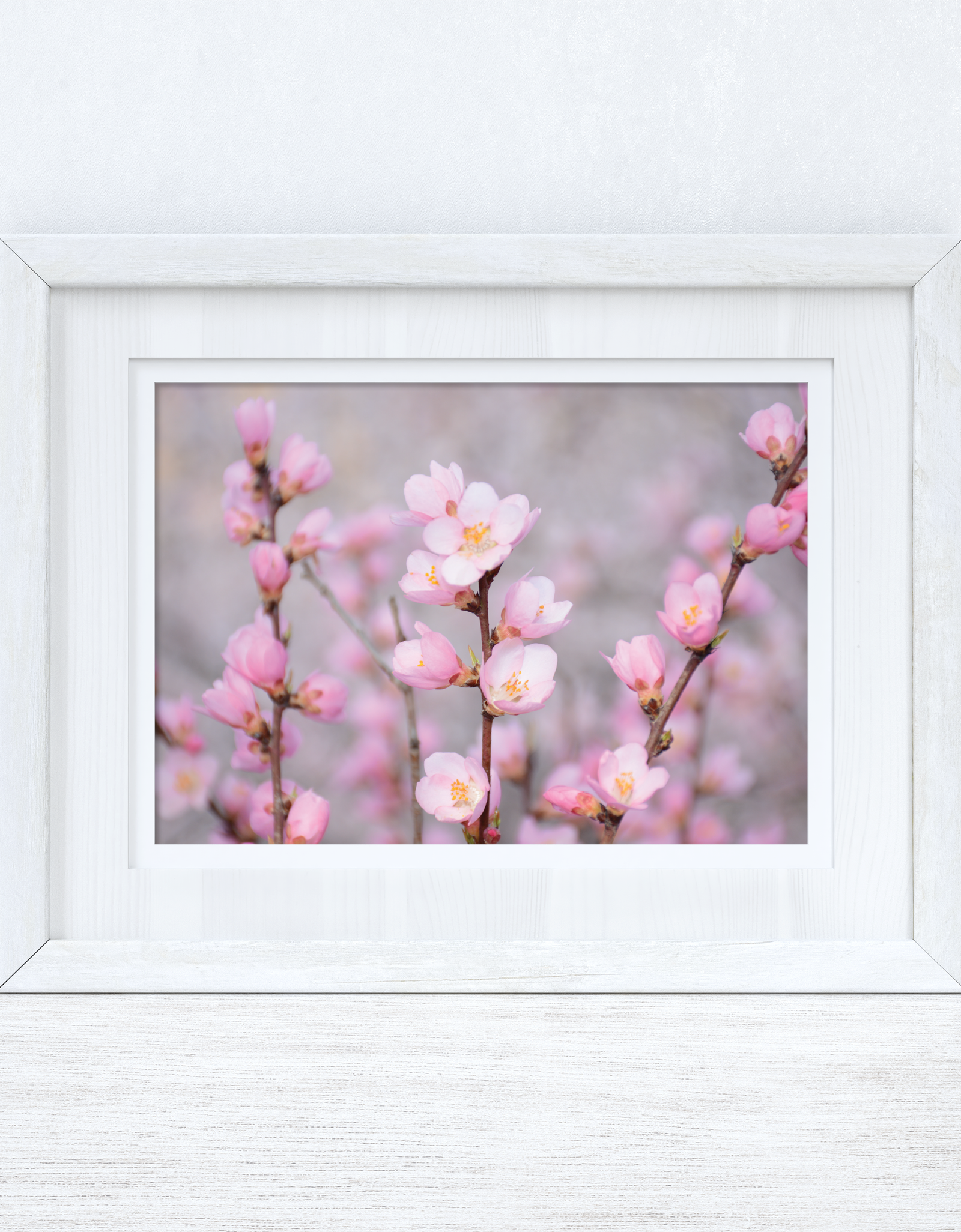 Cherry Spring Blossom Photography Spring Seasonal Wall Home Decor Print by WinsterCreations™ Official Store